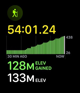 The hiking workout displaying elevation gain.