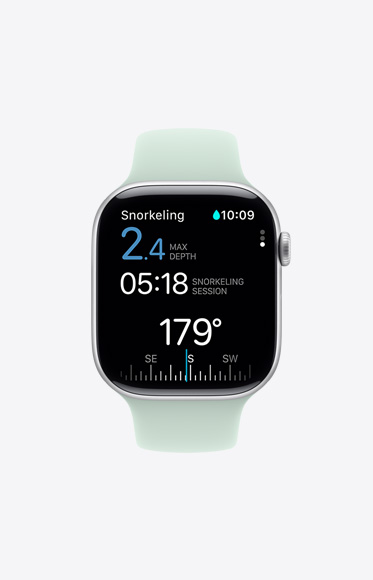 Oceanic plus app 內的浮潛指標。