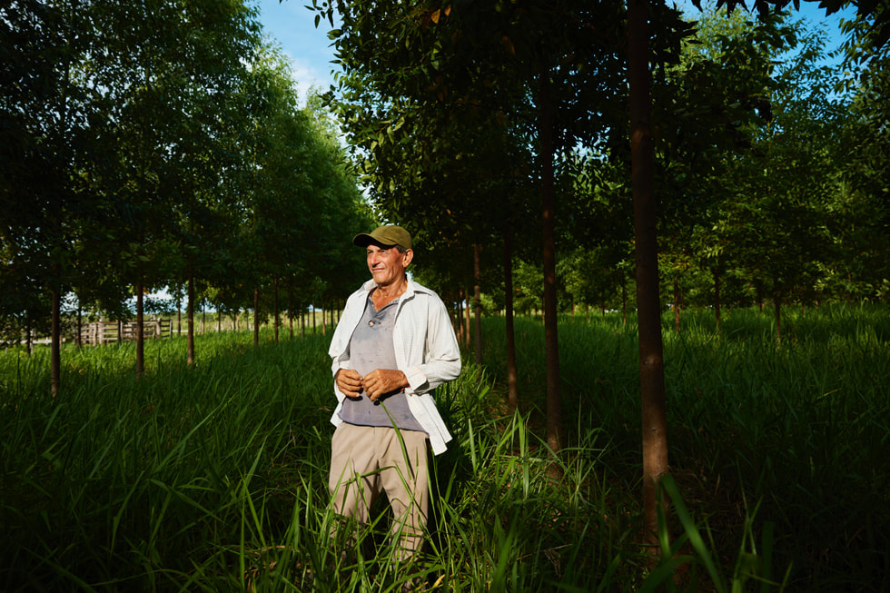 Serafino Gonzalez se tient dans des herbes hautes au milieu d’une rangée d’arbres.