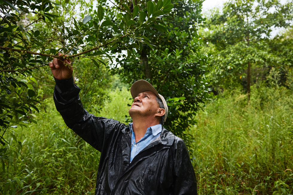 Alberto Florentín touche une branche d’arbre dans une végétation luxuriante.
