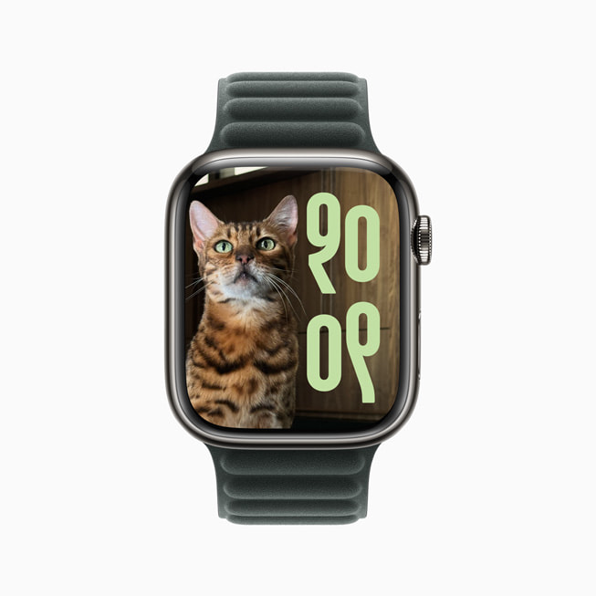Une Apple Watch Series 9 avec un cadran Photos affichant l’image d’un chat tigré.