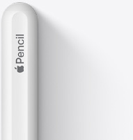 Extremo redondeado del Apple Pencil de 2.ª generación que incluye el logotipo de Apple y la palabra «Pencil».