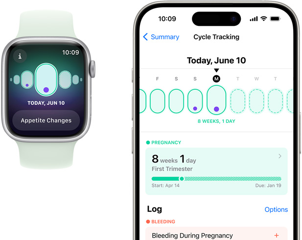 Un Apple Watch che mostra sul display il monitoraggio della gravidanza con il sintomo “Alterazioni appetito”. Un iPhone che mostra sul display l’età gestazionale e il monitoraggio della gravidanza nell’app Monitoraggio ciclo.