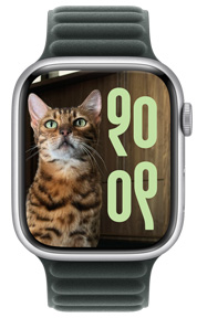Un Apple Watch che mostra sul display il quadrante Foto con un gatto e l’ora; dimensioni del font e alfabeto utilizzato sono stati personalizzati