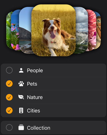 Quadranti foto di Apple Watch impilati sopra un menu di filtro